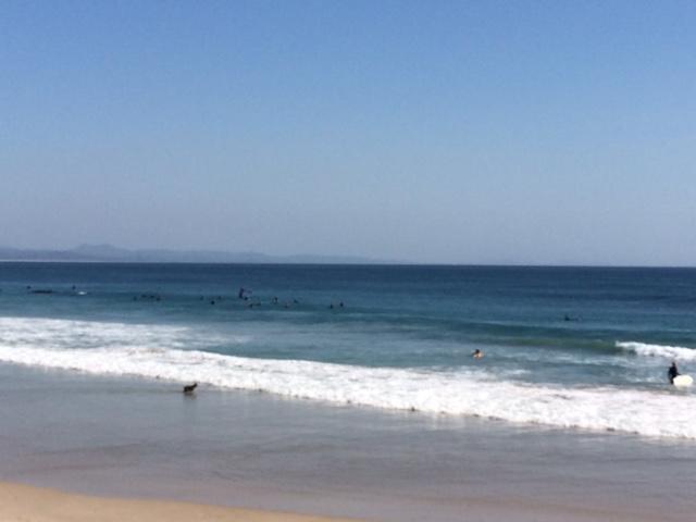 ביירון ביי Sea Breeze On Main Beach מראה חיצוני תמונה